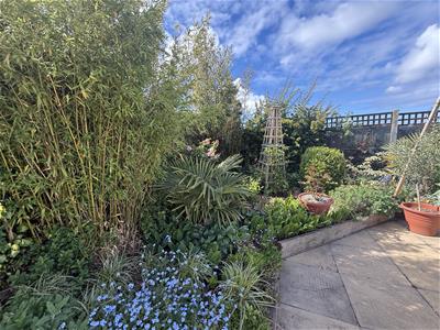 Picture 20